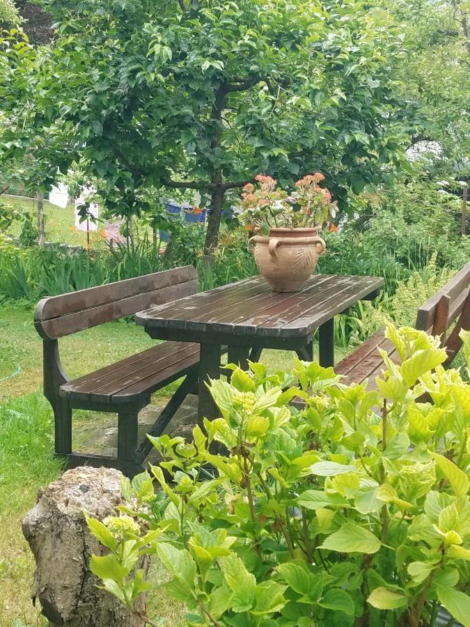 Apartma Raft, Bovec Buitenkant foto